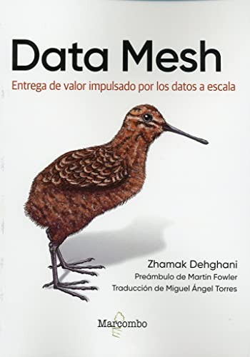 Cover of Data Mesh