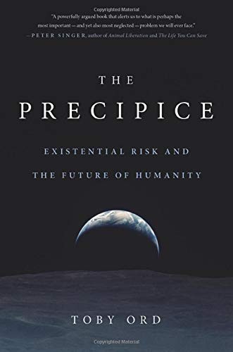 Cover of The Precipice